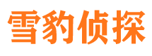 吉安市调查公司